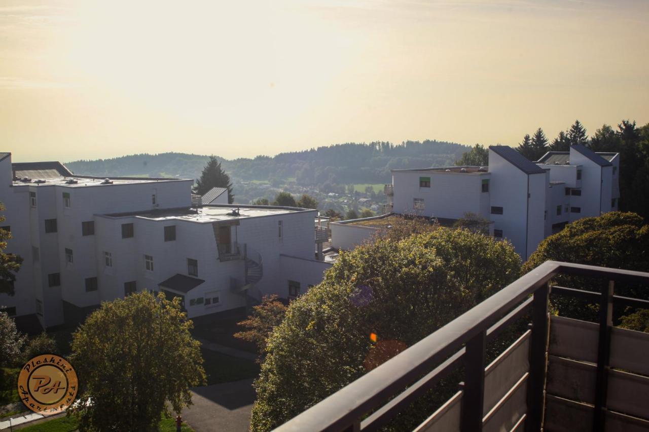 Pleskini Apartment Sankt Englmar Zewnętrze zdjęcie